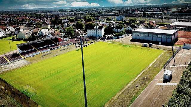 捧起冠军奖 捧起冠军奖