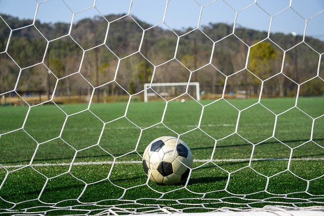 而本赛季 而本赛季