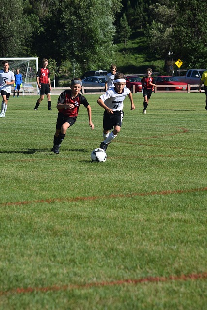 自我批判 自我批判