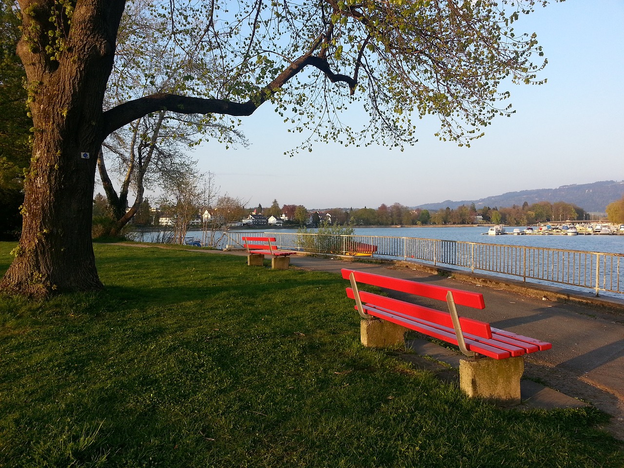 这一决策 这一决策