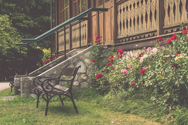 凭借凶狠的 凭借凶狠的